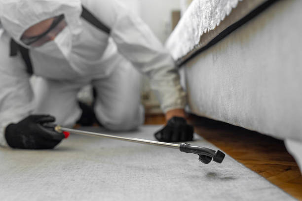 Professional Ant Control technician working in Perry, LA