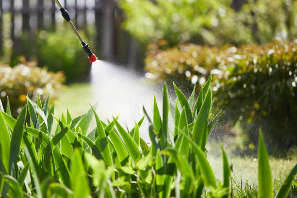 24/7 Emergency Ant Control experts in Perry, LA