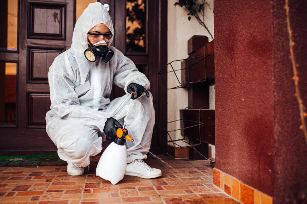 Reliable Ant Control contractor in Perry, LA by Show Me Pest Control